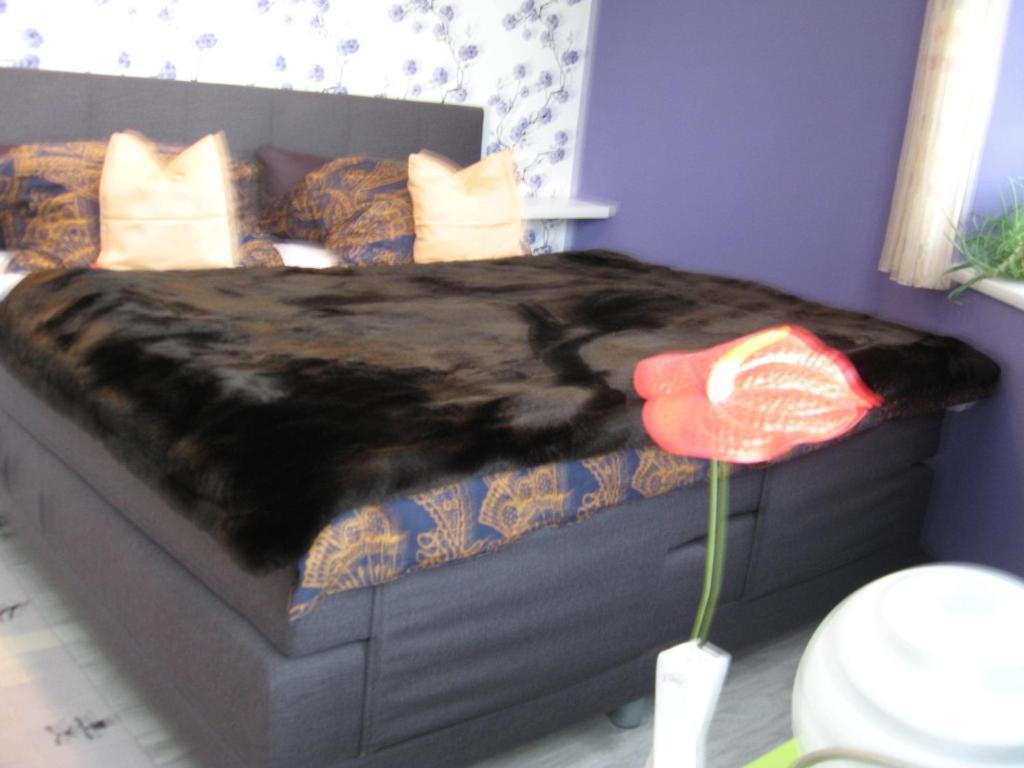 Apartment Sejko Český Krumlov Cameră foto